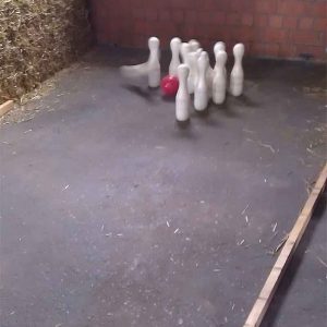 Der Spassmacher Freestyle Kegeln
