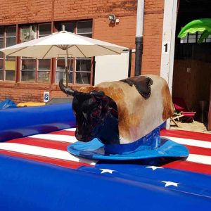 Der Spassmacher Bullriding Bronco