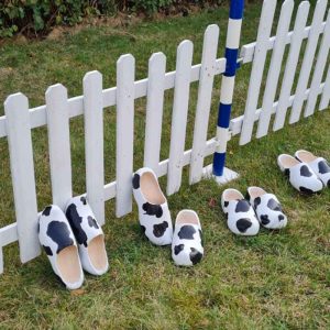 Der Spassmacher Holzschuhrennen