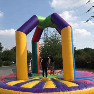 Der Spassmacher Pendelball
