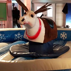 Der Spassmacher Rodeloelch Rudi