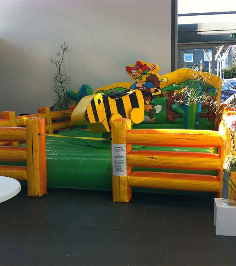 Der Spassmacher Rodeoente Duffy