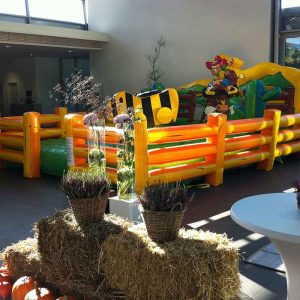 Der Spassmacher Rodeoente Duffy