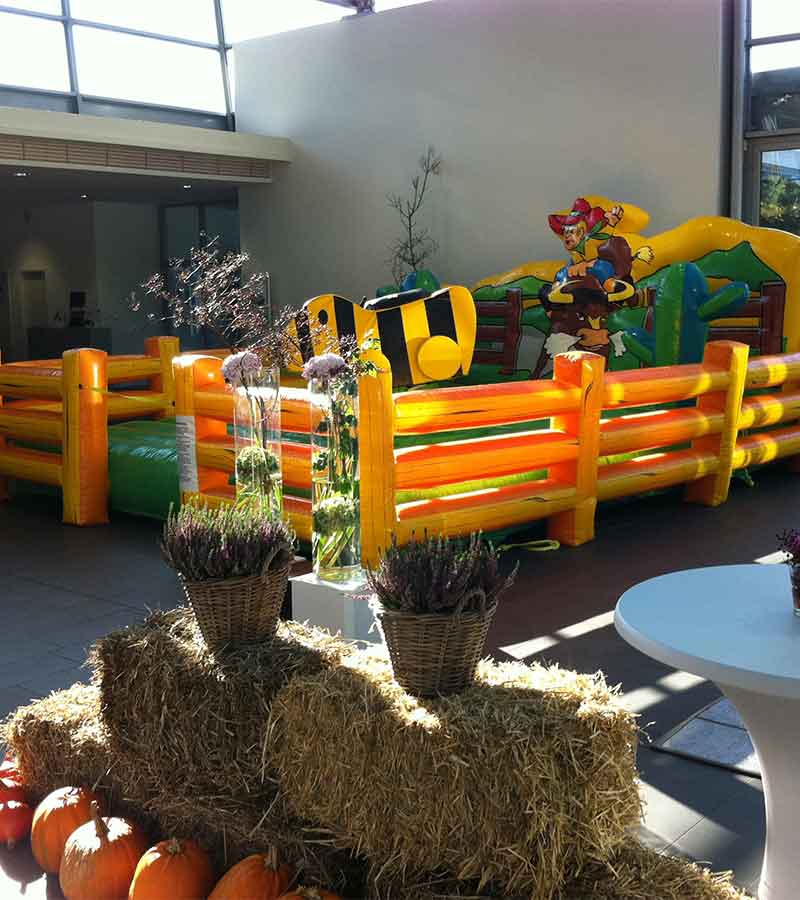 Der Spassmacher Rodeoente Duffy