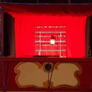 Der Spassmacher 300 Rosen