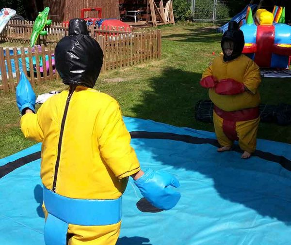 Sumo Wrestling