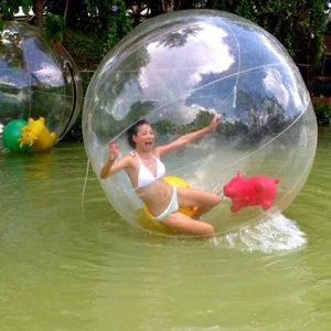 Der Spassmacher Wasserball