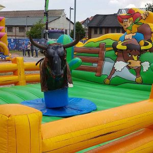 Der Spassmacher Bullriding Bronco