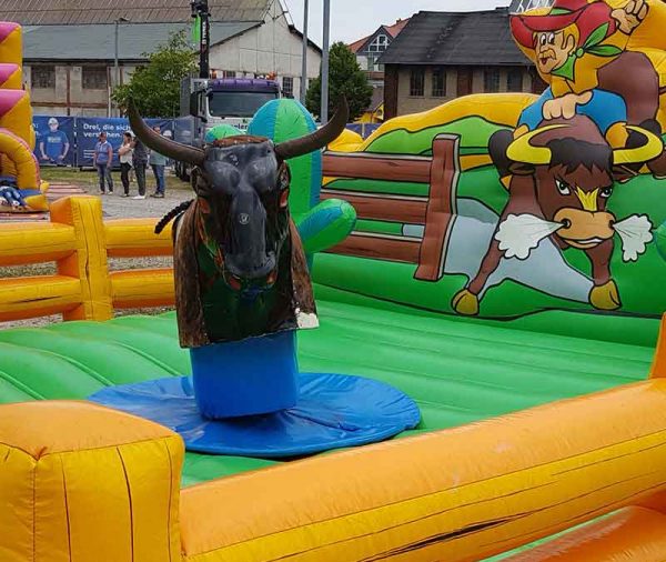 Bullriding Bronco (inkl. 1 Betreuer)
