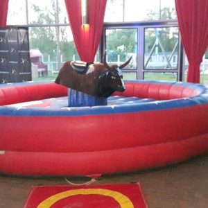 Der Spassmacher Bullriding Bronco