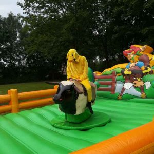Der Spassmacher Bullriding Bronco