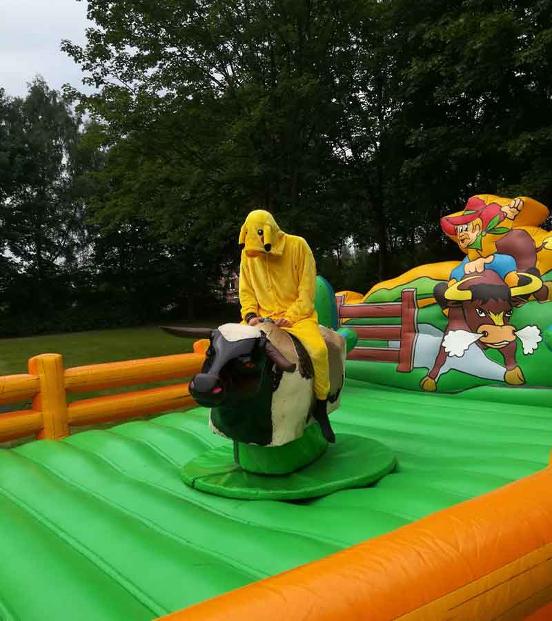 Der Spassmacher Bullriding Bronco