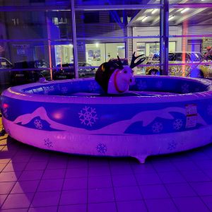 Der Spassmacher Bullriding Bronco