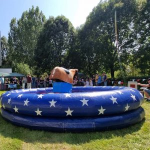 Der Spassmacher Bullriding Bronco