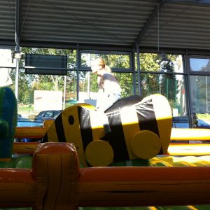 Der Spassmacher Rodeoente Duffy
