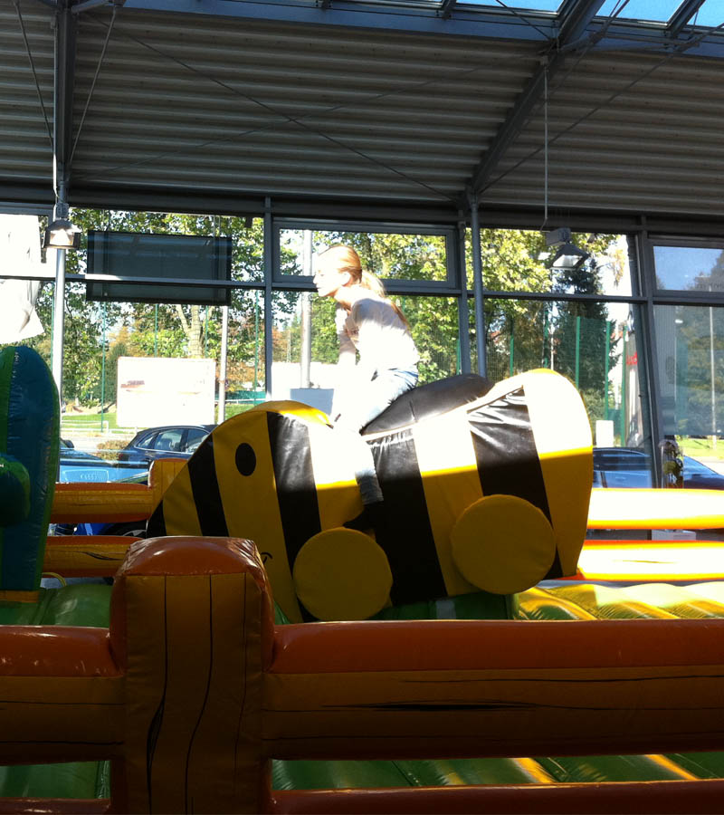 Der Spassmacher Rodeoente Duffy