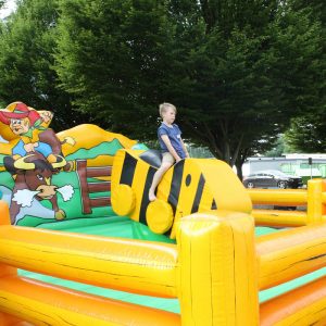 Der Spassmacher Rodeoente Duffy