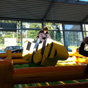 Der Spassmacher Rodeoente Duffy