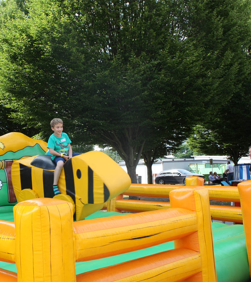 Der Spassmacher Rodeoente Duffy