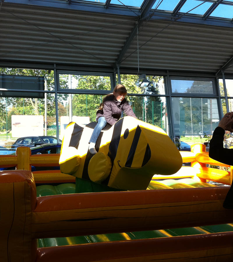 Der Spassmacher Rodeoente Duffy