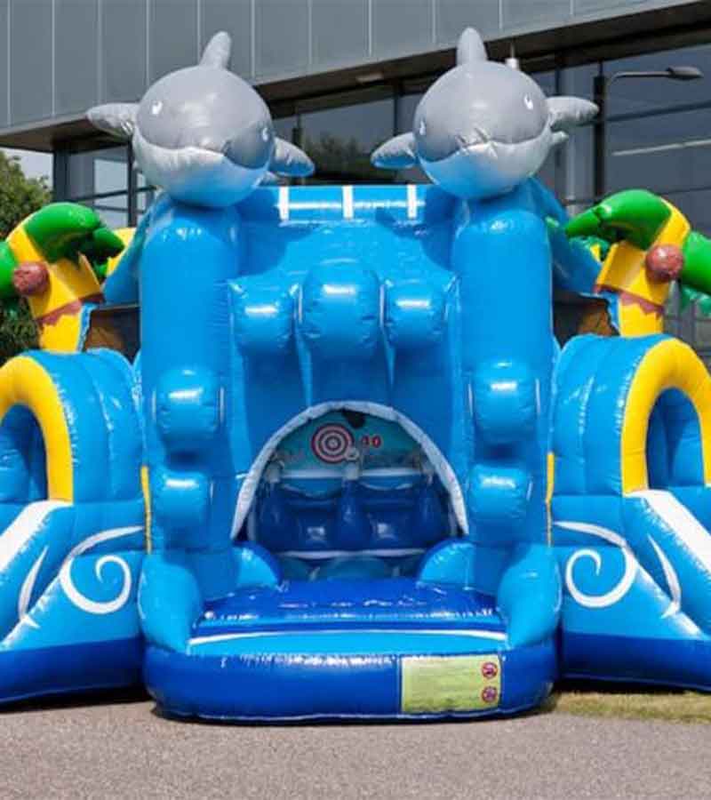 Der Spassmacher Hüpfburg Delfin Funpark